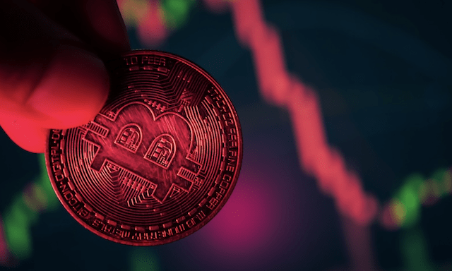 Bitcoin Crash CryptoJunction